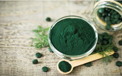 Investigadores del CSIC recaban la opinión de consumidores para diseñar un nuevo producto alimentario con un ingrediente a base de compuestos bioactivos de espirulina