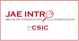 Programa JAE Intro – Becas de introducción a la investigación (último año Grado o Máster)
